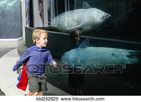 Stock Photography - Caucasian boy running in aquarium near swimming seals. Fotosearch
