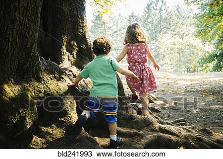 Caucasian brother and sister walking on tree roots View Large Photo Image Stock Image - Caucasian brother and sister walking on tree roots. Fotosearch