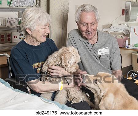 Stock Photograph - Caucasian couple enjoying therapy dogs. Fotosearch