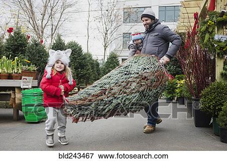 Stock Photo - Caucasian father and daughter carrying wrapped Christmas tree. Fotosearch