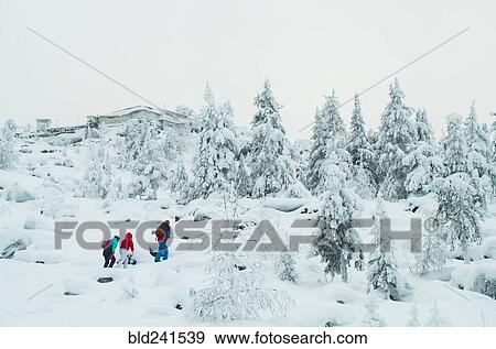 Stock Photo - Caucasian friends hiking in snowy forest. Fotosearch