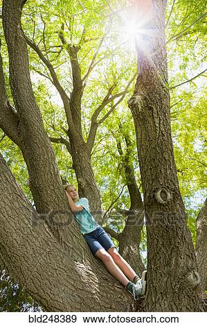 Stock Photo - Caucasian girl climbing tree. Fotosearch
