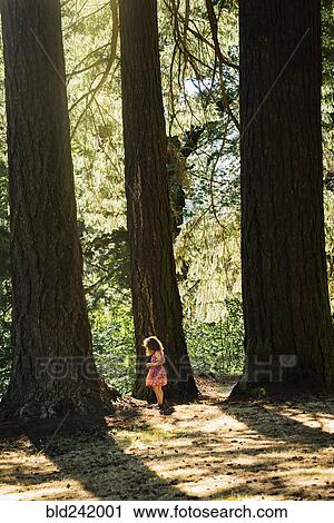 Caucasian girl exploring near trees View Large Photo Image Stock Image - Caucasian girl exploring near trees. Fotosearch