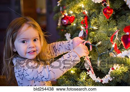 Stock Photo - Caucasian girl hanging candy cane on Christmas tree. Fotosearch