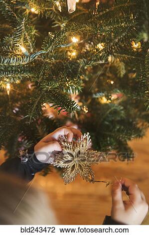Stock Image - Caucasian girl hanging star ornament on Christmas tree. Fotosearch