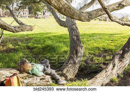 Stock Image - Caucasian girl laying on tree branch. Fotosearch