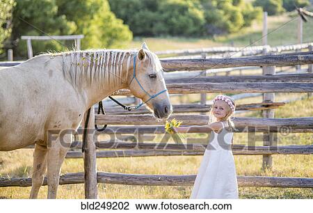 Caucasian girl offering flowers to horse View Large Photo Image Stock Image - Caucasian girl offering flowers to horse. Fotosearch