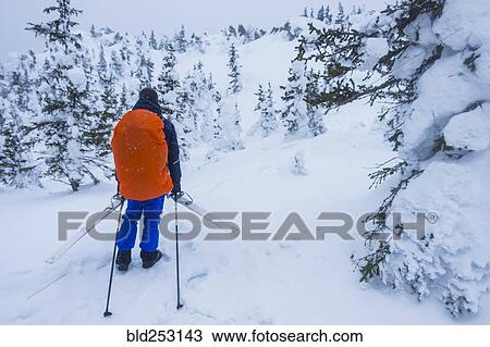 Caucasian hikers carrying skis on mountain View Large Photo Image Stock Image - Caucasian hikers carrying skis on mountain. Fotosearch
