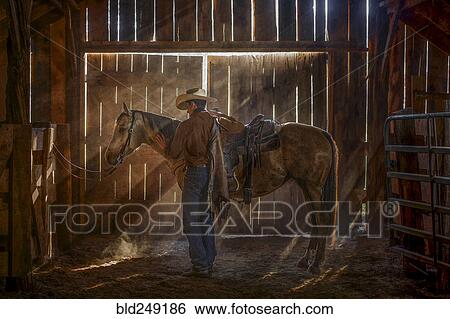 Stock Photograph - Caucasian man brushing horse in barn. Fotosearch