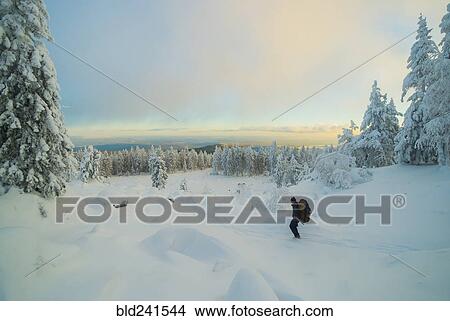 Picture - Caucasian man hiking in snowy forest at sunset. Fotosearch