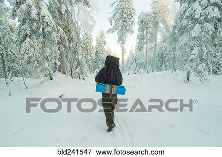 Caucasian man hiking in snowy forest View Large Photo Image Stock Photo - Caucasian man hiking in snowy forest. Fotosearch