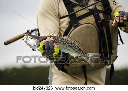 Stock Photograph - Caucasian man holding fishing rod and fish. Fotosearch