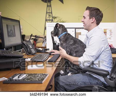 Picture - Caucasian man in office with dog sitting in lap. Fotosearch