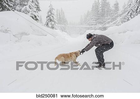 Stock Image - Caucasian man playing tug-of-war with dog in snow. Fotosearch