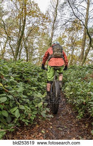 Stock Photo - Caucasian man riding bicycle in forest. Fotosearch