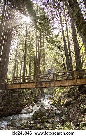 Stock Photograph - Caucasian man running on bridge over forest stream. Fotosearch
