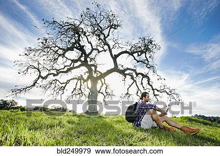Stock Photo - Caucasian man sitting in field near tree texting on cell phone. Fotosearch