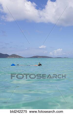 Stock Photography - Caucasian man snorkeling in tropical ocean. Fotosearch