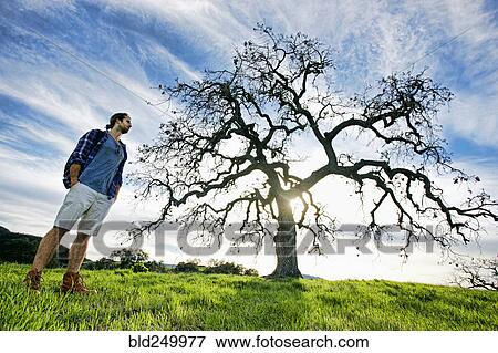 Caucasian man standing in field near tree View Large Photo Image Stock Photo - Caucasian man standing in field near tree. Fotosearch