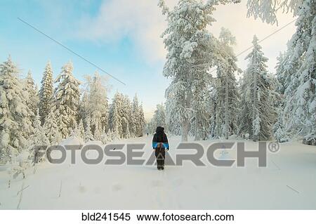 Caucasian man standing in snowy forest View Large Photo Image Stock Photography - Caucasian man standing in snowy forest. Fotosearch