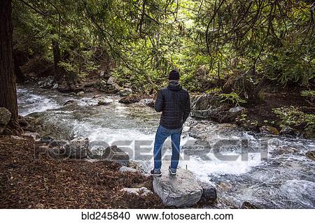Stock Image - Caucasian man standing on rock near stream in woods. Fotosearch