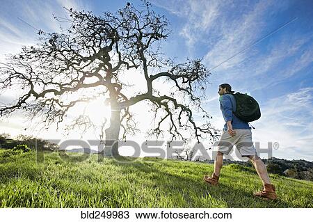 Caucasian man walking in field near tree View Large Photo Image Stock Image - Caucasian man walking in field near tree. Fotosearch