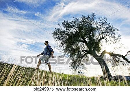 Stock Photography - Caucasian man walking in field near tree. Fotosearch
