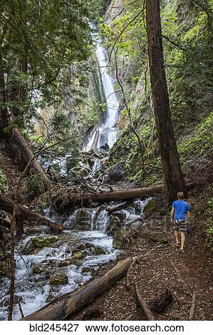 Caucasian man walking near waterfall in forest View Large Photo Image Stock Photo - Caucasian man walking near waterfall in forest. Fotosearch