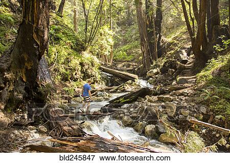 Stock Photo - Caucasian man walking on wooden plank over forest stream. Fotosearch