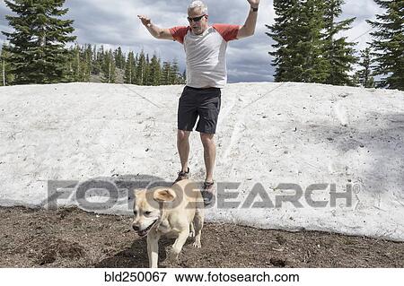 Stock Photo - Caucasian man wearing shorts sliding on snow with dog. Fotosearch