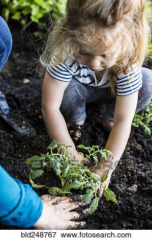 Caucasian mother teaching gardening to daughter View Large Photo Image Stock Photo - Caucasian mother teaching gardening to daughter. Fotosearch