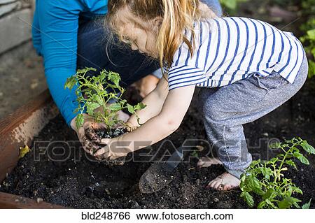 Caucasian mother teaching gardening to daughter View Large Photo Image Stock Photograph - Caucasian mother teaching gardening to daughter. Fotosearch
