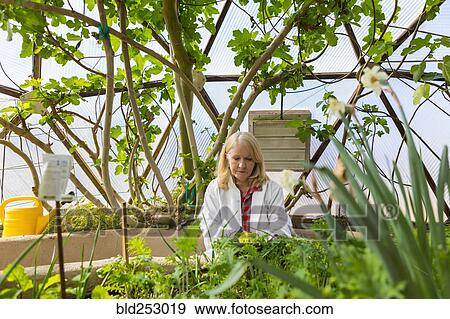Stock Photo - Caucasian scientist using digital tablet in greenhouse. Fotosearch