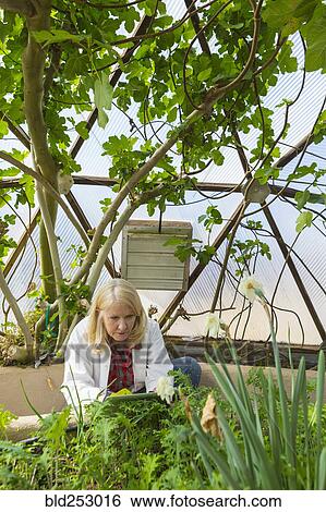 Caucasian scientist using digital tablet in greenhouse View Large Photo Image Stock Photograph - Caucasian scientist using digital tablet in greenhouse. Fotosearch