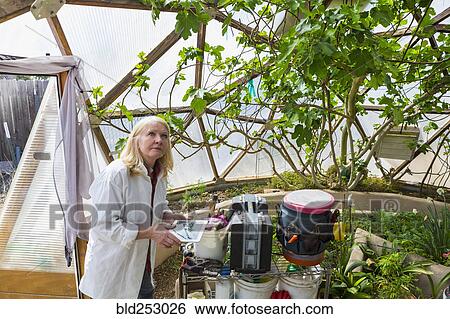 Caucasian scientist using digital tablet in greenhouse View Large Photo Image Stock Photograph - Caucasian scientist using digital tablet in greenhouse. Fotosearch