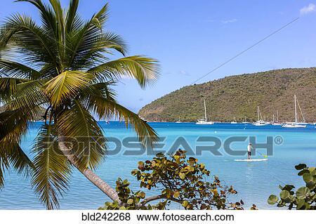 Caucasian tourist using paddle board in tropical ocean View Large Photo Image Stock Photo - Caucasian tourist using paddle board in tropical ocean. Fotosearch