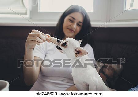 Stock Photo - Caucasian woman feeding treat to pet dog. Fotosearch