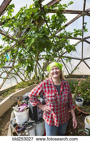 Stock Photo - Caucasian woman gardening in greenhouse. Fotosearch