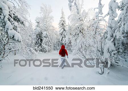 Stock Image - Caucasian woman hiking in snowy forest. Fotosearch