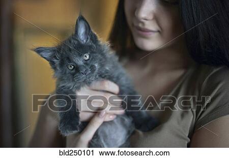 Caucasian woman holding cat View Large Photo Image Stock Image - Caucasian woman holding cat. Fotosearch