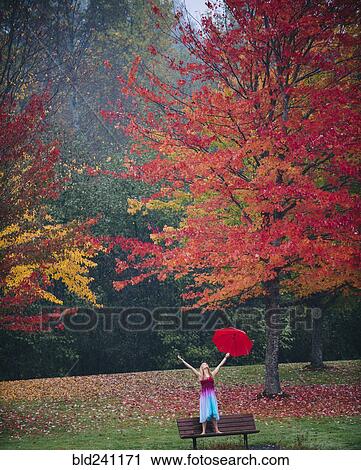 Caucasian woman holding umbrella in rain on park bench View Large Photo Image Stock Image - Caucasian woman holding umbrella in rain on park bench. Fotosearch