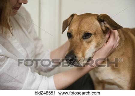 Stock Image - Caucasian woman hugging dog. Fotosearch