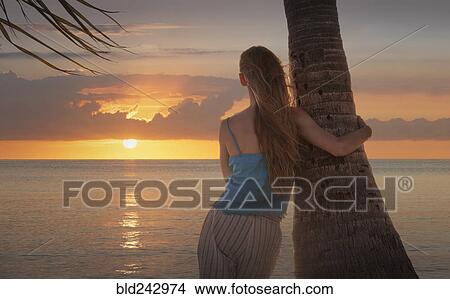 Caucasian woman leaning on palm tree near ocean View Large Photo Image Picture - Caucasian woman leaning on palm tree near ocean. Fotosearch