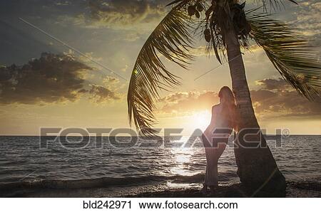 Stock Image - Caucasian woman leaning on palm tree near ocean. Fotosearch