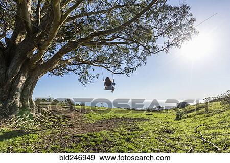 Caucasian woman on tree swing near ocean View Large Photo Image Stock Photo - Caucasian woman on tree swing near ocean. Fotosearch
