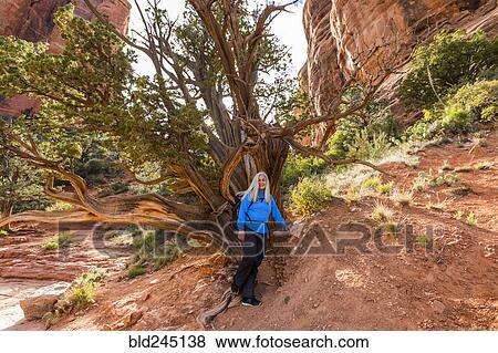 Stock Photo - Caucasian woman posing near tree in desert landscape. Fotosearch