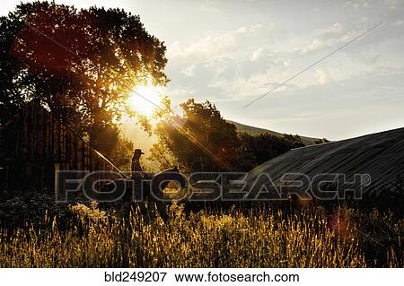 Stock Photo - Caucasian woman riding horse near barn at sunset. Fotosearch