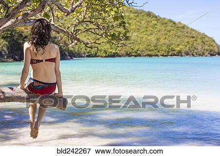 Stock Photo - Caucasian woman sitting on branch over tropical beach. Fotosearch