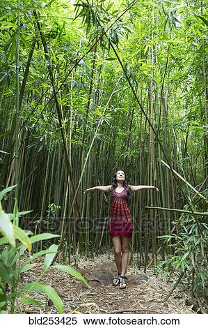 Caucasian woman standing in bamboo forest and looking up View Large Photo Image Stock Photography - Caucasian woman standing in bamboo forest and looking up. Fotosearch