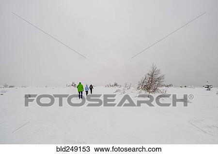 Caucasian women hiking in remote field in winter View Large Photo Image Stock Image - Caucasian women hiking in remote field in winter. Fotosearch